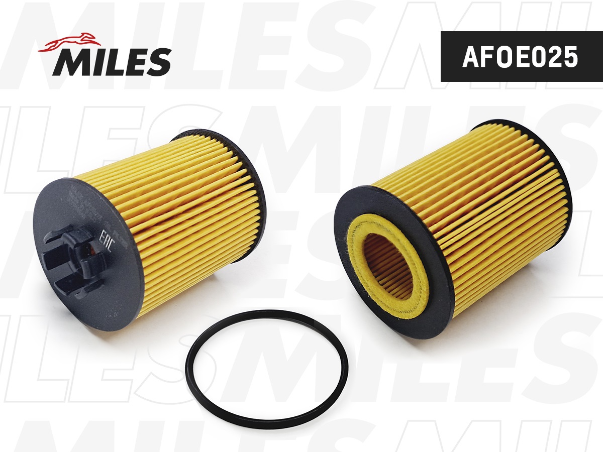 MILES afoe025